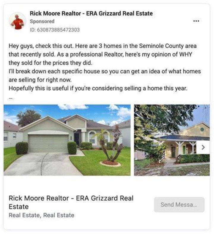 Real Estate, Raccoon-cooper