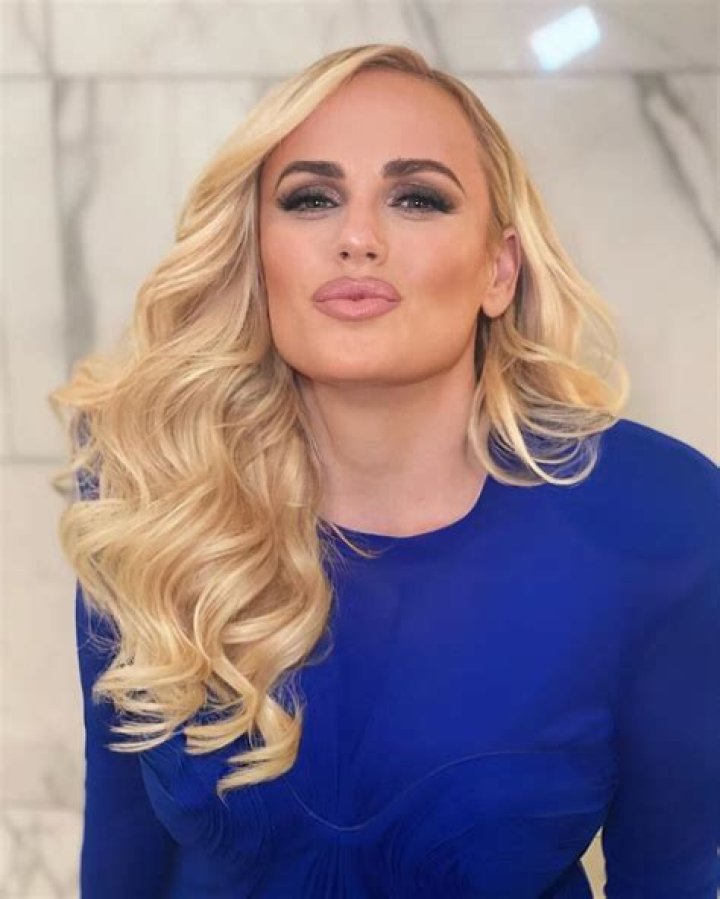 Rebel Wilson's LookAlike Mom Flew to Hold Her Grandkid &mdash; She Was the