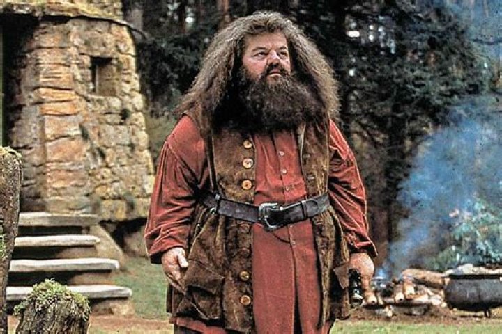 Robbie Coltrane in pictures 'Big guy, big heart, a massive talent
