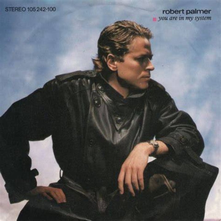 Robert Palmer's exwife Susan Eileen Thatcher Personal Life, & Facts