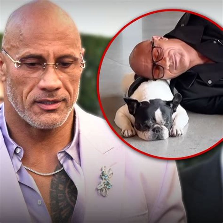 Rock The Dogs — Tazzy Animal Rescue Fund