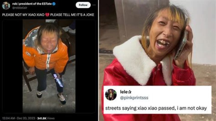 Rumors About Chinese Influencer Xiao Xiao's Death Abound After Her