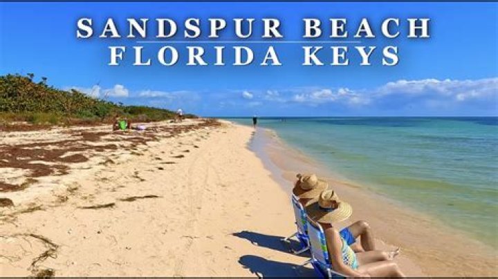 Sandspur Beach, Florida