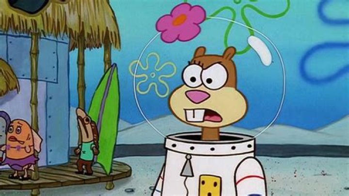 Sandy Cheeks TV Shows and Movies Wiki Fandom