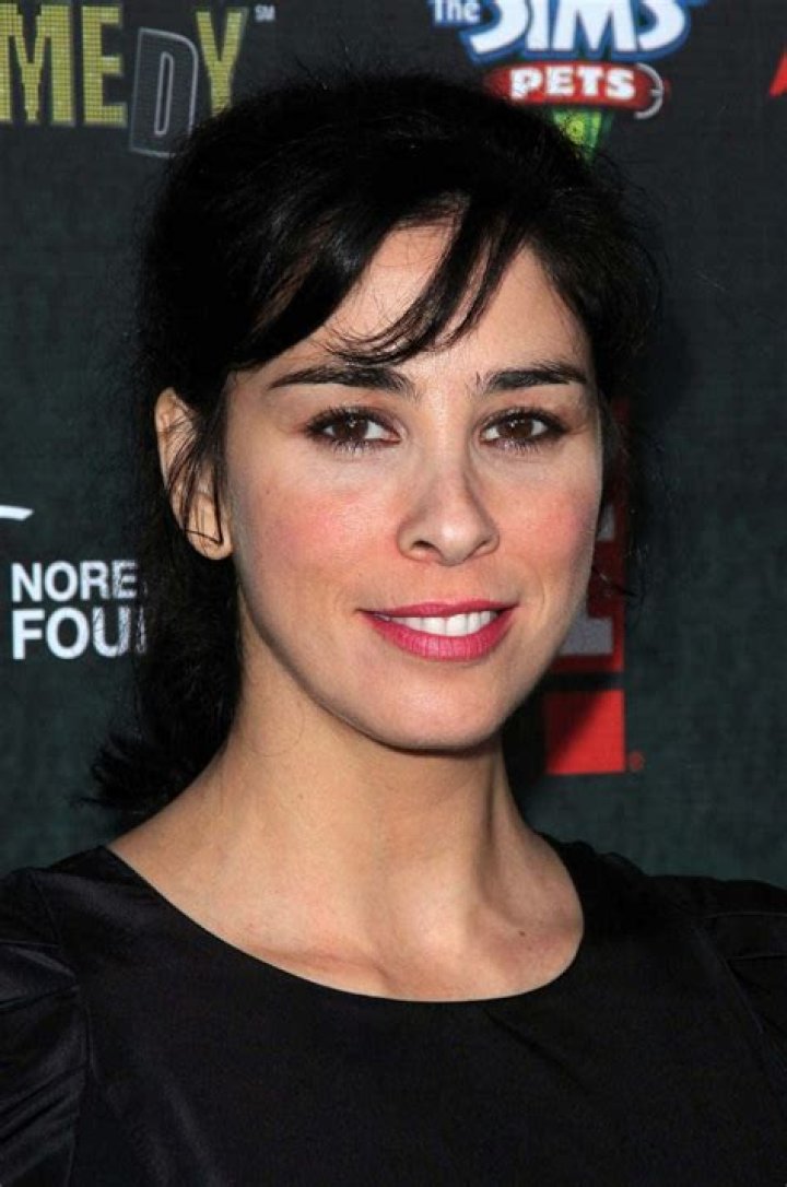 Sarah Silverman Nude, The Fappening Photo 3005815 FappeningBook