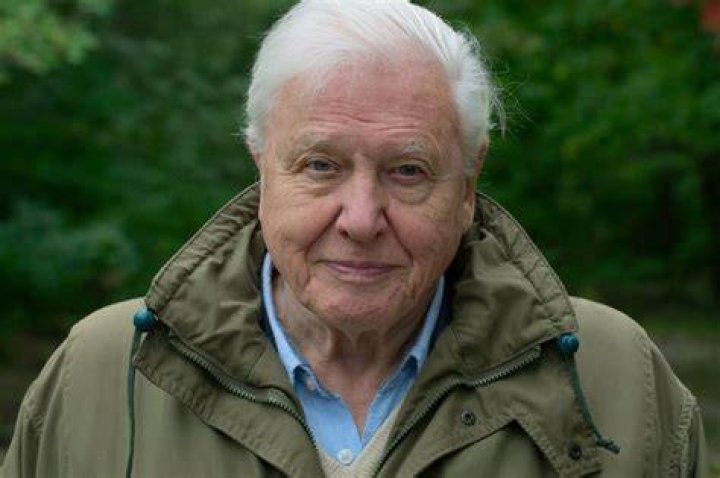 Sir David Attenborough warns Covid19 is environmental threat because