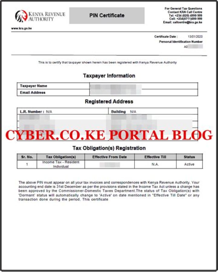 Step-by-Step Guide To Kra Pin Certificate Application And Registration