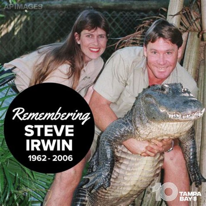 Steve Irwin could not have been saved, says witness to stingray attack