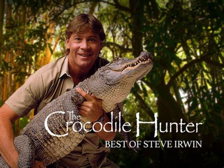 Steve Irwin's SixYearOld Son Training to Feed Crocodiles Fox News