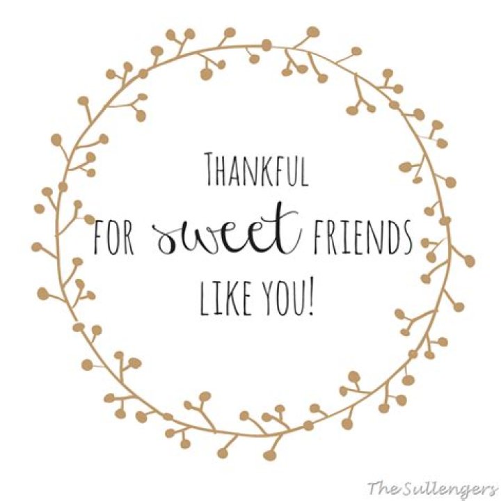 Thankful For Friends Like You Pictures, Photos, and Images for Facebook