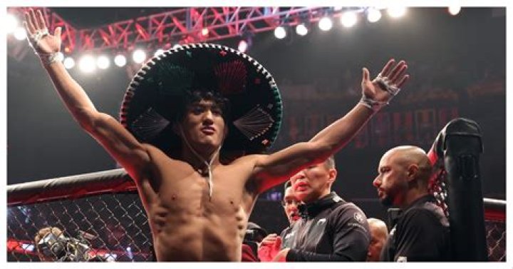 The Best Mexican UFC Fighters Of All Time, Ranked By Fans