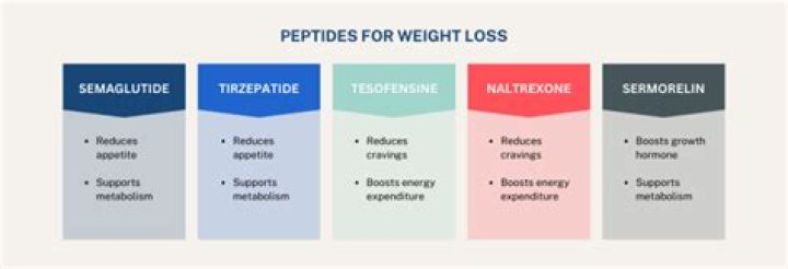 The Best Peptides For Weight Loss And Healing with Dr. Bob Harding