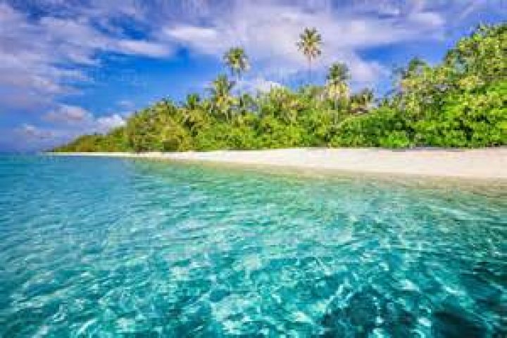 The Island Picture Image Abyss