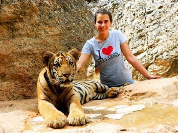 Tiger Tiger. In Thailand Thailand. With Tina Loftus. Thailand, Tiger