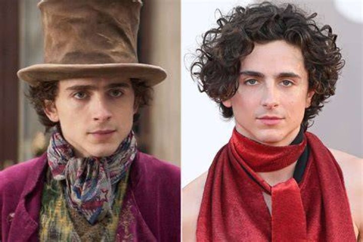 Timoth&eacute;e Chalamet reportedly played Willy Wonka in a new prequel
