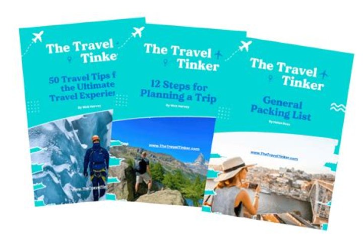 Travel Braidot Twins