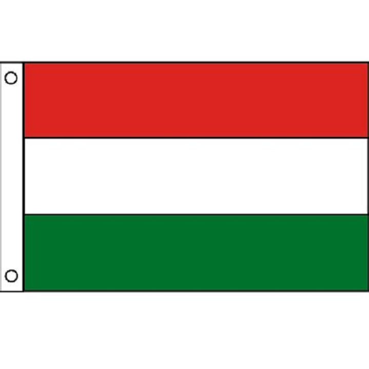 Triple Stripe Flag Red/ White/ Green