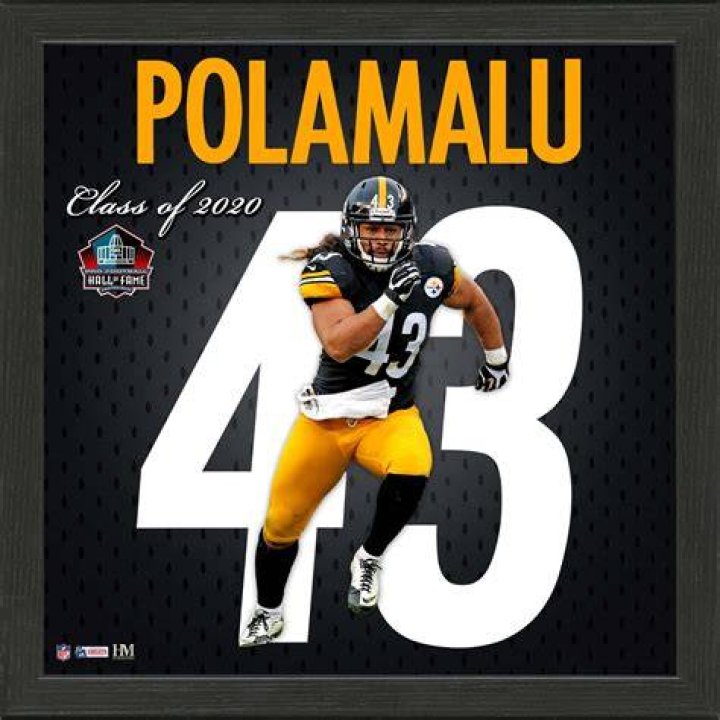 Troy Polamalu Biography, Height & Life Story Super Stars Bio