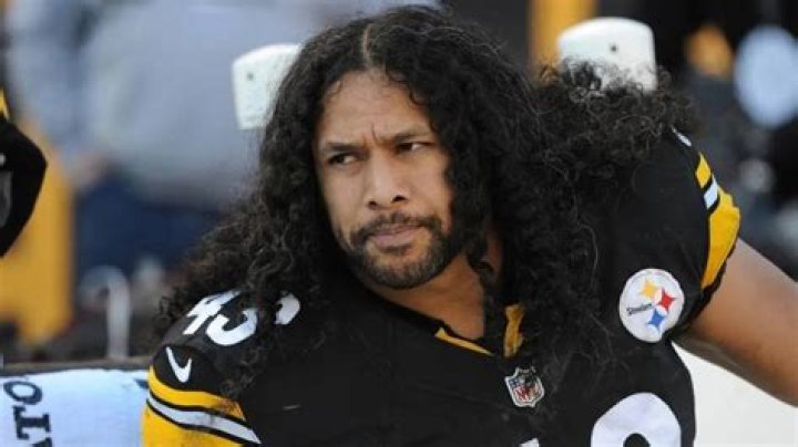 Troy Polamalu Net Worth & Bio/Wiki 2018 Facts Which You Must To Know!