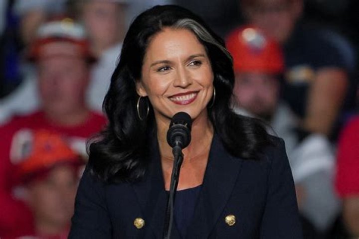Tulsi Gabbard's Husband Is Abraham Williams Facts about Him