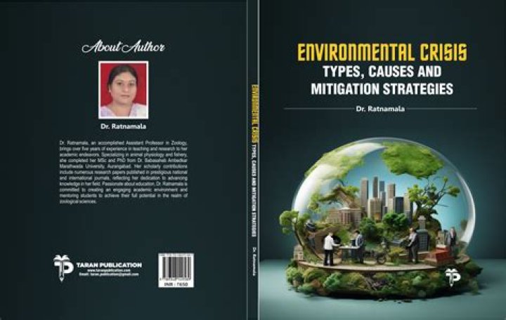 Types, Causes, And Mitigation Strategies