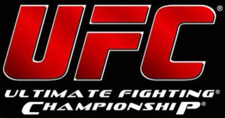 UFC's Dana White Says He Won't Face Discipline After Physical