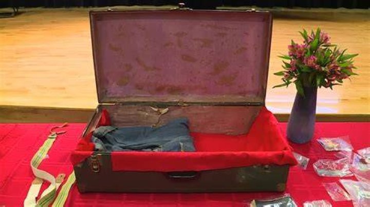 Uncover Suitcase Secrets At Ross: Your Travel Essential Awaits