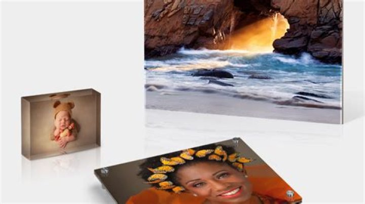 Uncover The Depth And Brilliance Of John Orobono: Discoveries And Insights