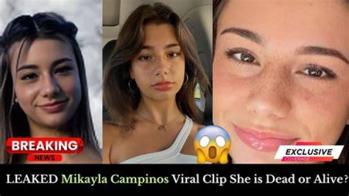 Uncover The Secrets Behind Mikayla Campinos' Viral Twitter Video