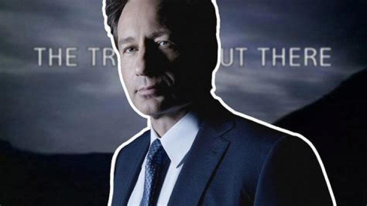Uncover The Truth: David Duchovny's Son Revealed