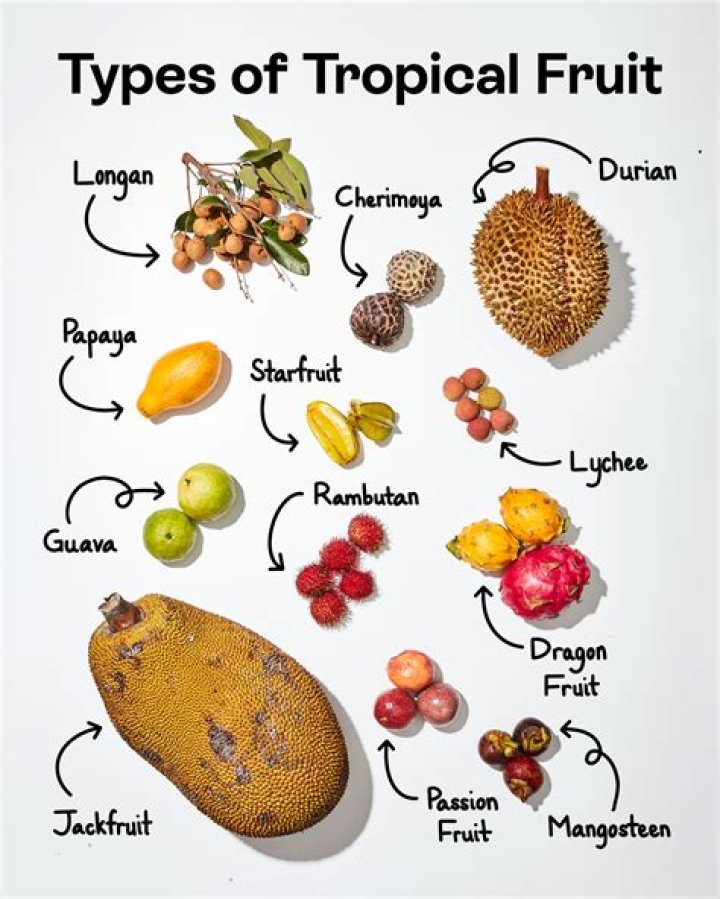 Uncover The Wonders Of Fruit Cultivation With Fruits Magazine
