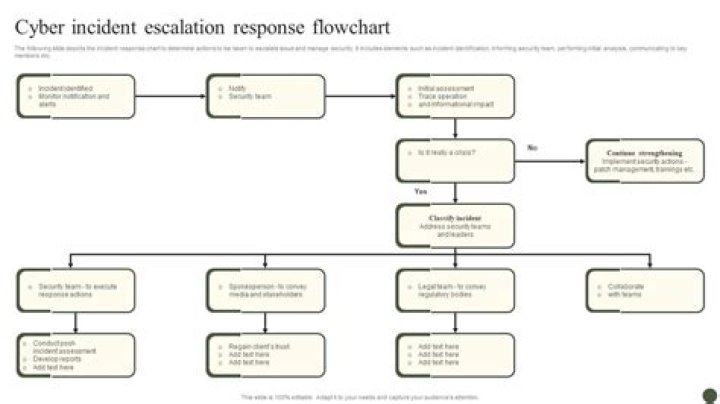 Uncovering The Severity, Timeline, And Lions' Response