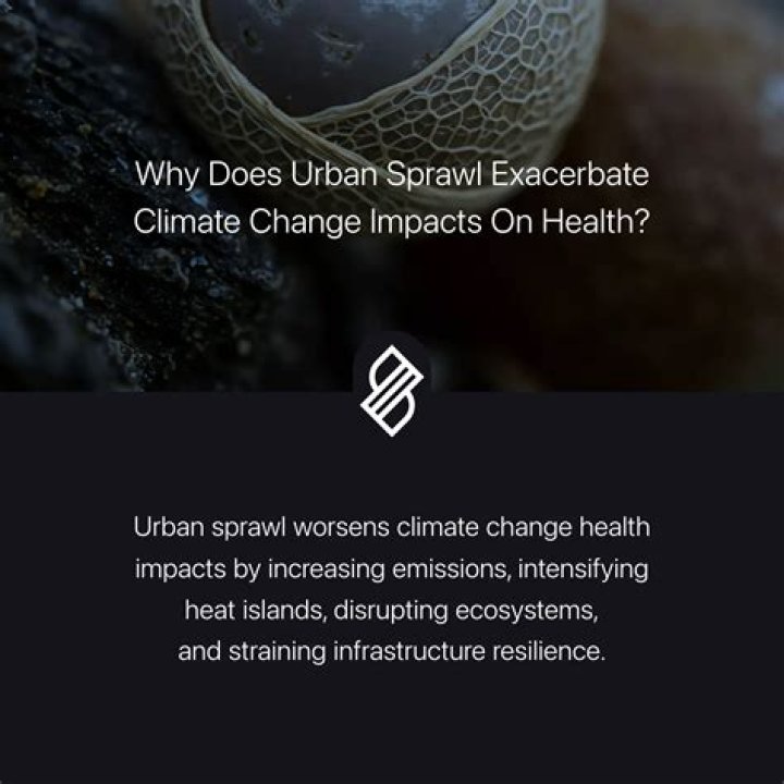 Uncovering Truths And Understanding Impacts
