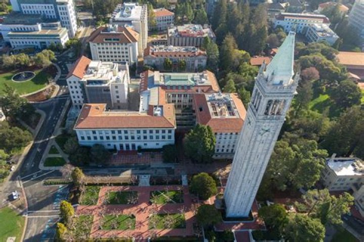 University Of California, Berkeley, Gypsy-lupone