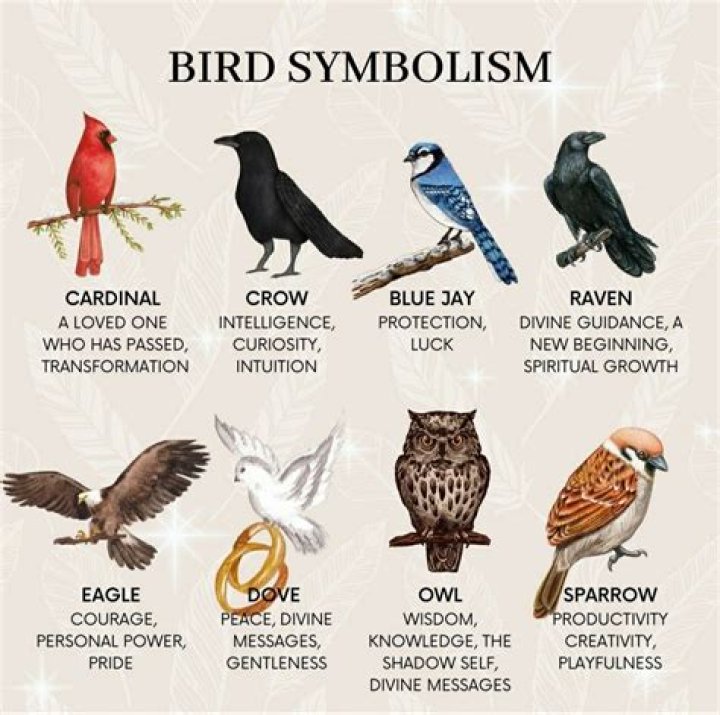 Unlock The Secrets Of Bird Symbolism: A Journey Of Discovery