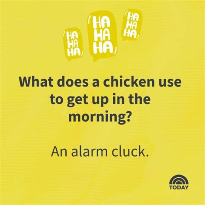 Unlock The Secrets Of Guess Chicken Jokes: Discoveries And Insights Await