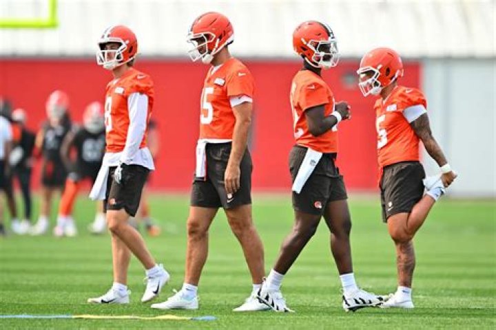 Unlocking The Unique World Of Joe Flacco's Children: Discoveries And Insights