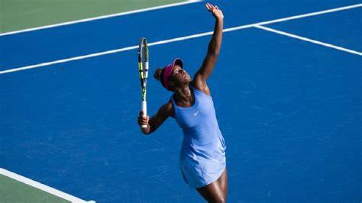 Untold Truths About Tomasz Linette: A Tennis Prodigy Revealed