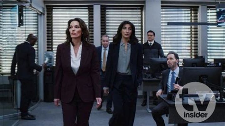 Unveiling Necar Zadegan's Net Worth: From Acting To Investments