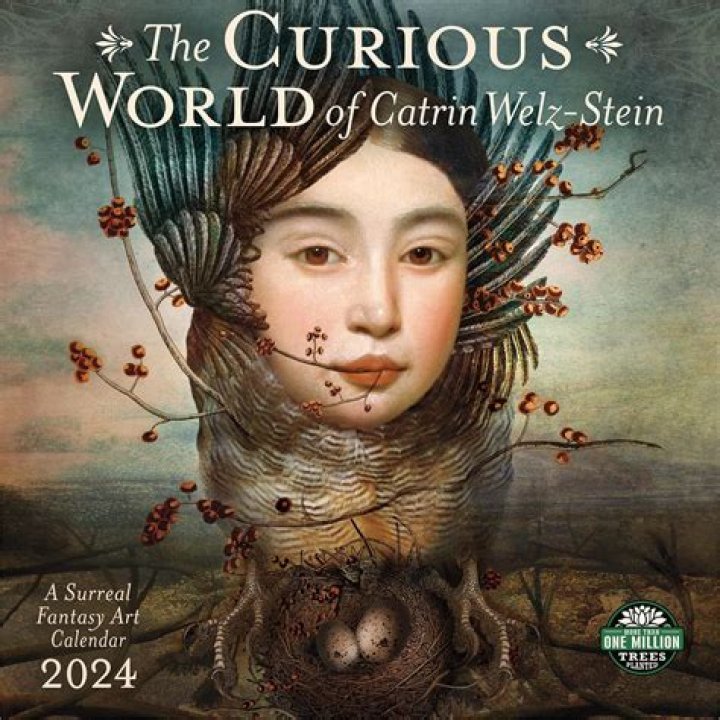 Unveiling The Curious World Of "Florida Man Dec 8": Discoveries And Insights