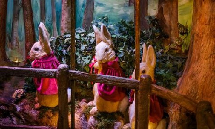 Unveiling The Enchanting World Of Lauren Tewes: Discoveries And Insights