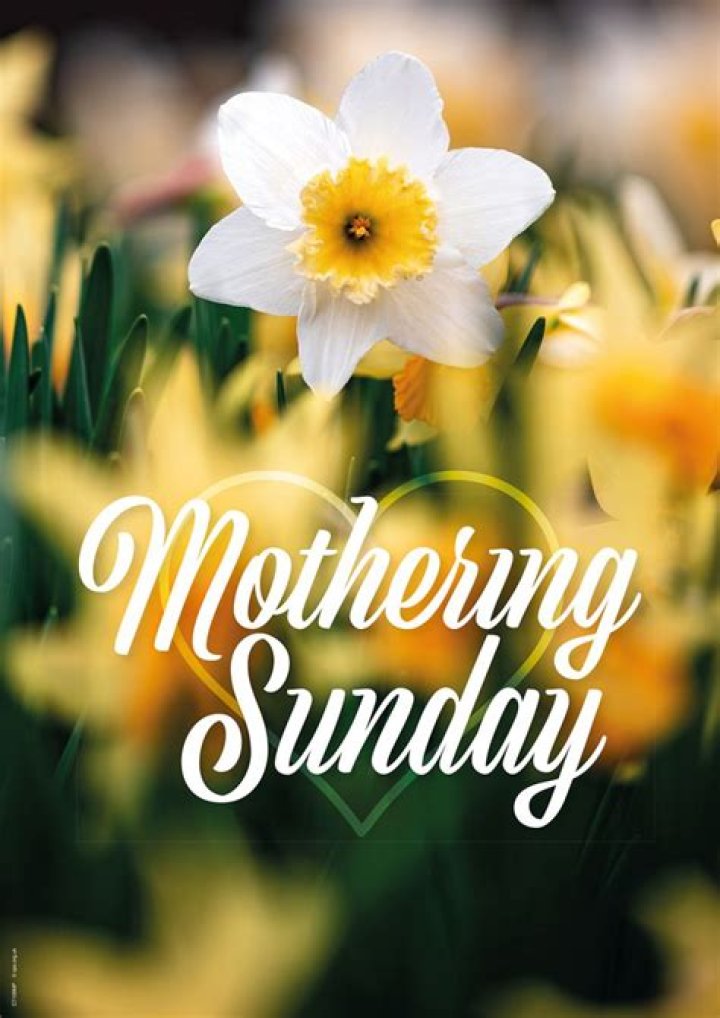Unveiling The Essence Of Mothering Sunday 2016: Discoveries And Insights