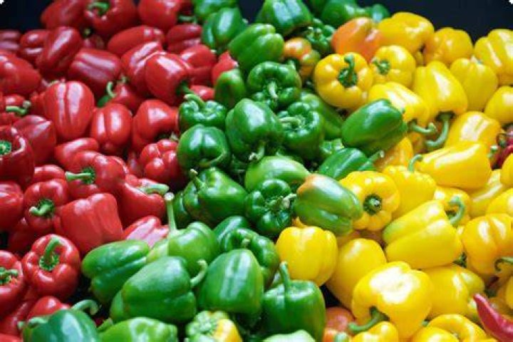 Unveiling The Secrets Of Pepper Bands: Discoveries And Insights