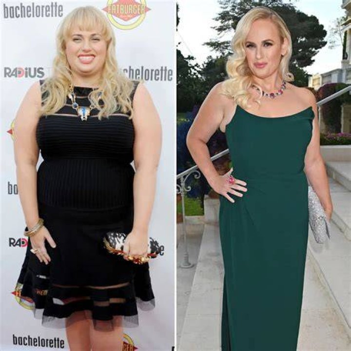 Unveiling The Secrets Of Rebel Wilson's Impressive Net Worth