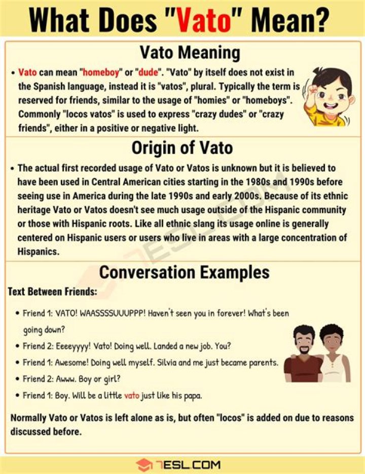 Vato Meaning What Does the Popular Term 'Vato' Mean? &bull; 7ESL