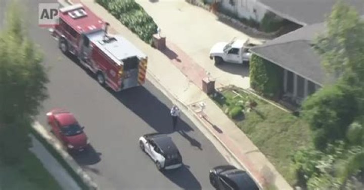 Volunteer police officer hospitalized after being stung in the face