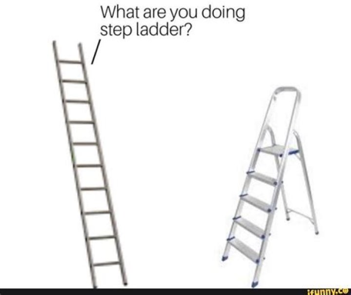 What Are You Doing Step Ladder