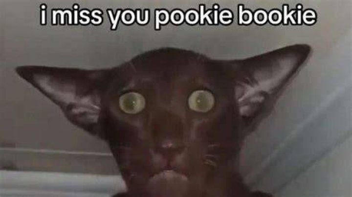 What Does Pookie Mean