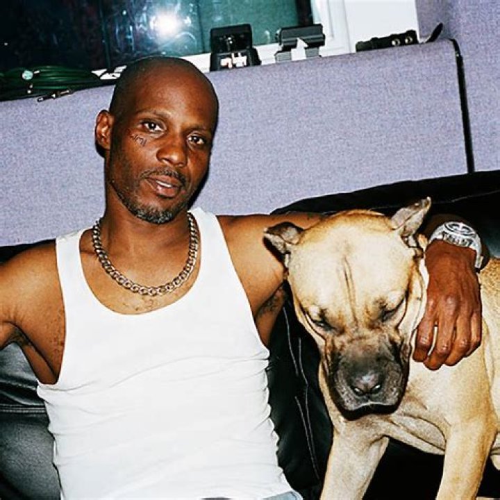 What Happened to Dmx Dog Boomer? The Life and Death of Boomer 1 What Happened to Dmx Dog Boomer