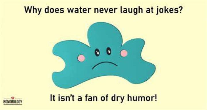 What is a dry sense of humor and how can you tell if you have it
